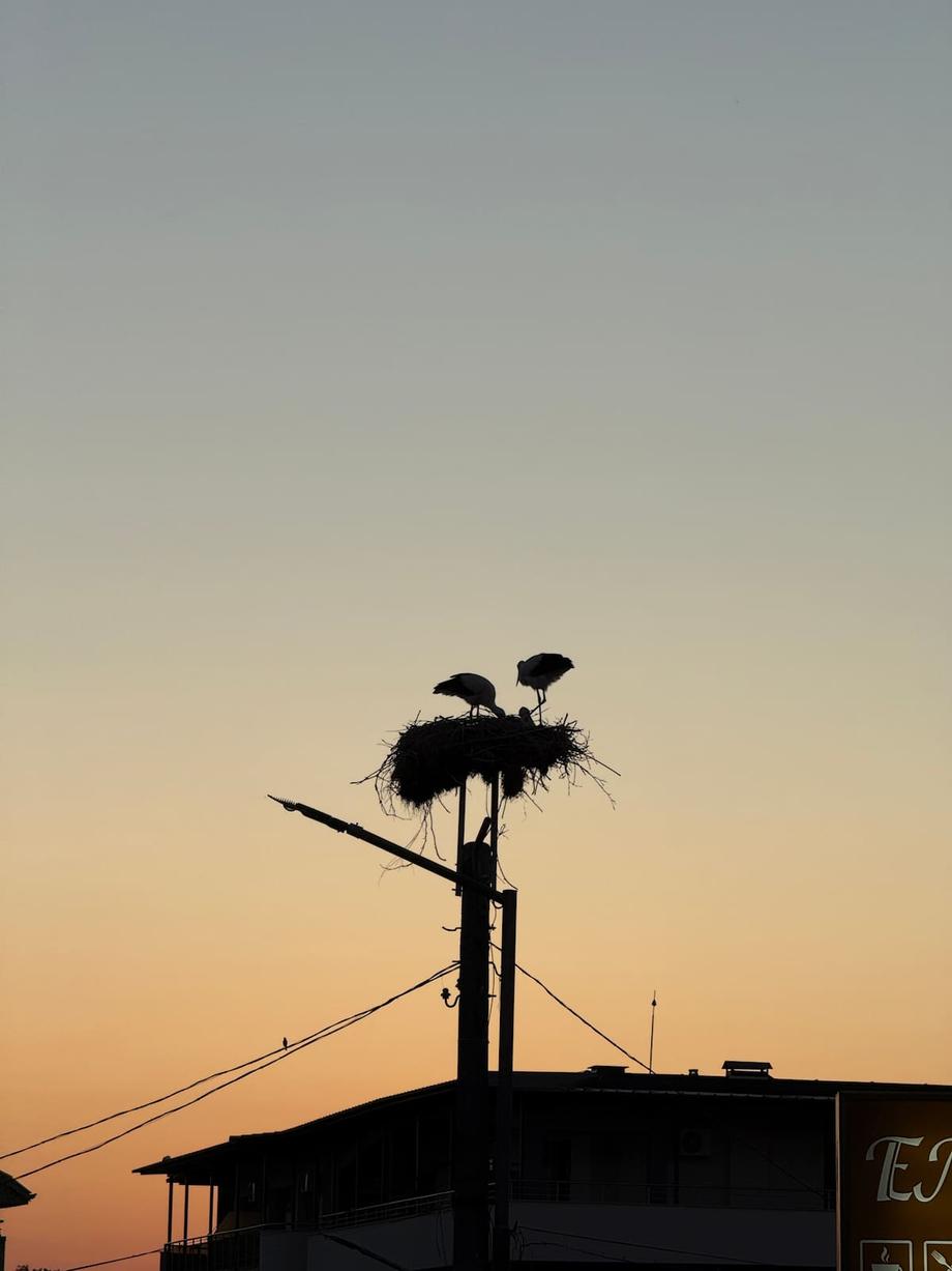 my 2025 year in review 113