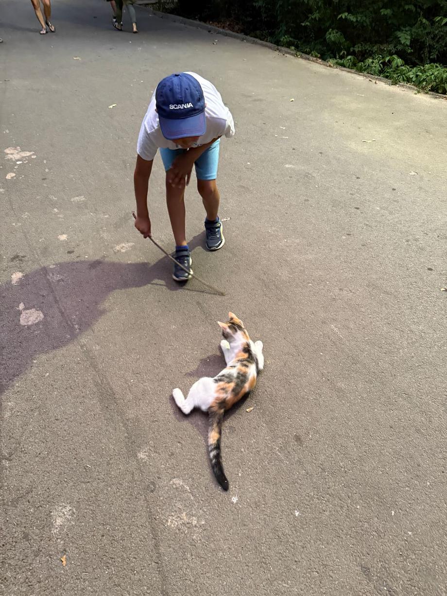 Playing with the 2 little kittens