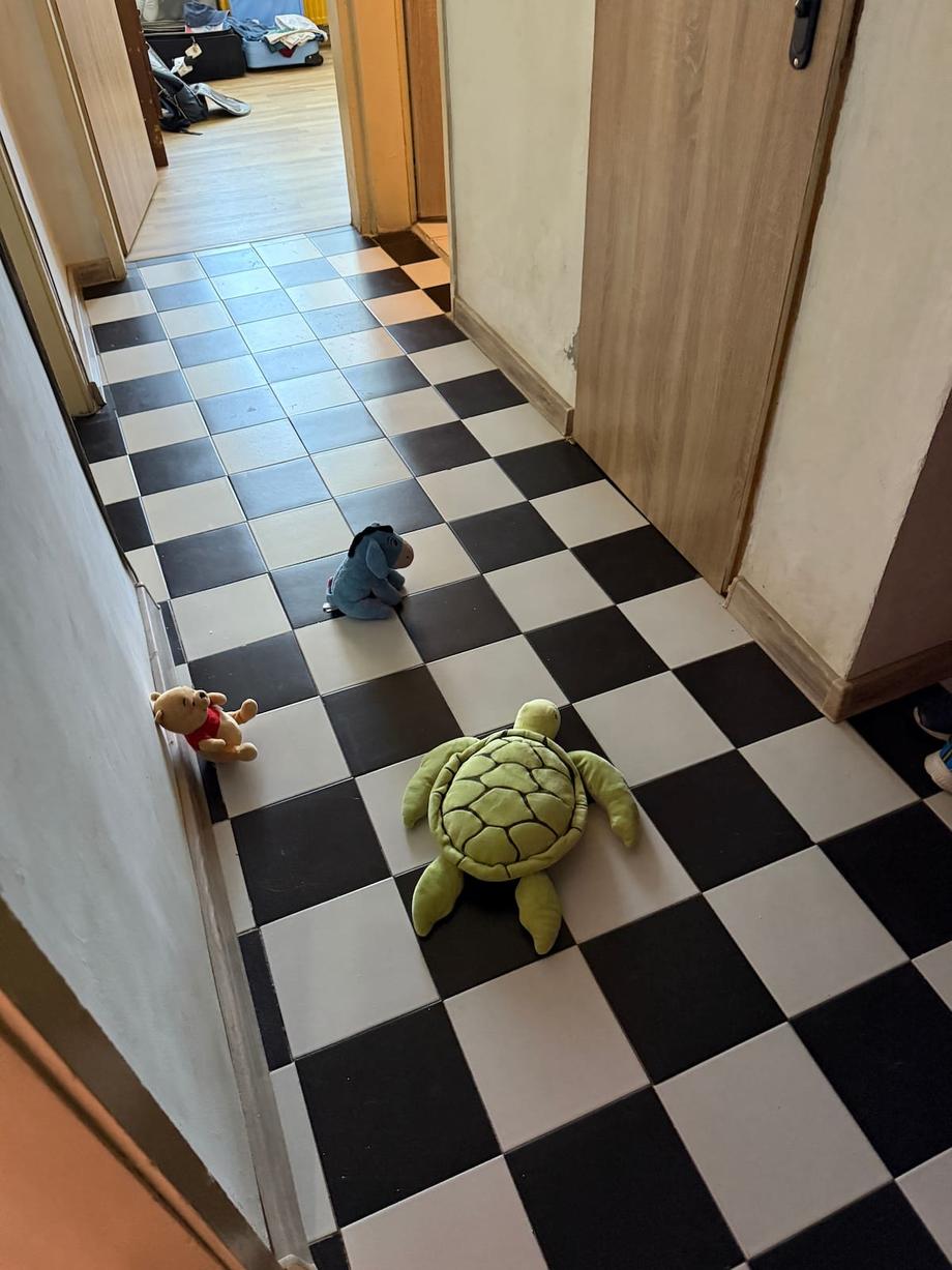 plushies on the floor