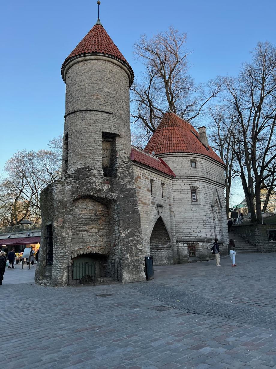 tallinn tower 2