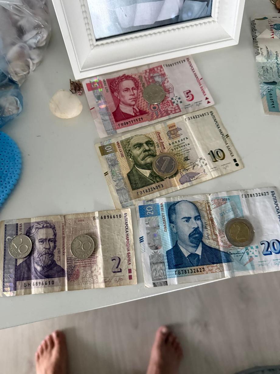 Bulgarian money 2