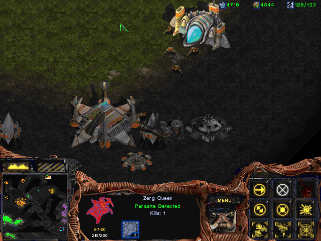 starcraft-bug2